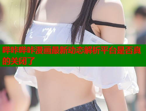 哔咔哔咔漫画最新动态解析平台是否真的关闭了