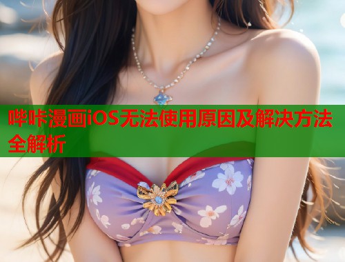 哔咔漫画iOS无法使用原因及解决方法全解析